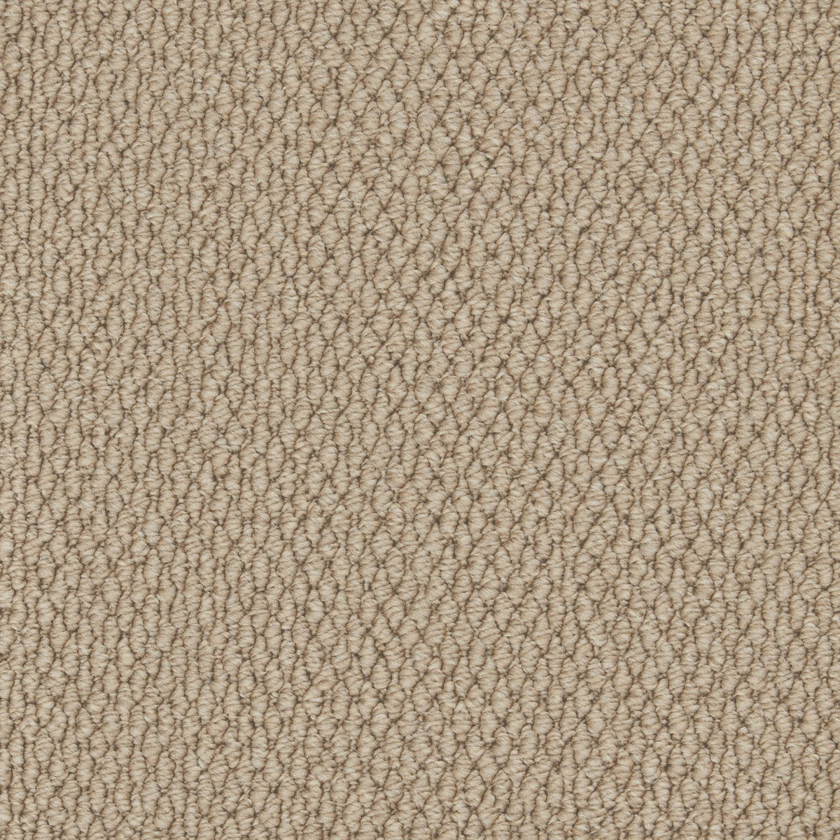 Cormar Primo Textures Elk