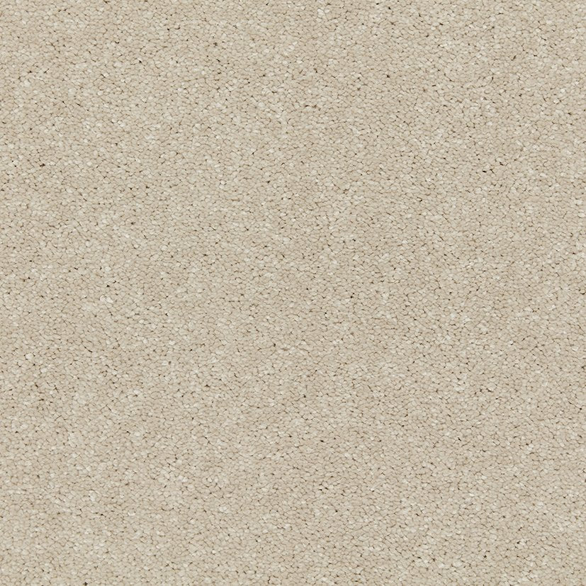 Cormar Riva Aniseed