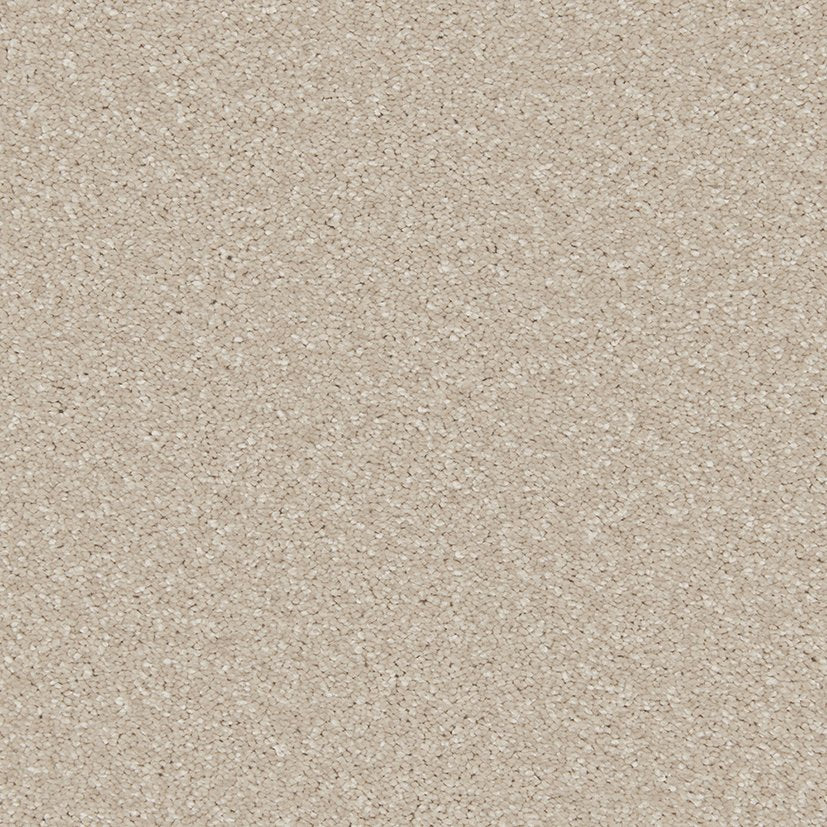 Cormar Riva Periwinkle
