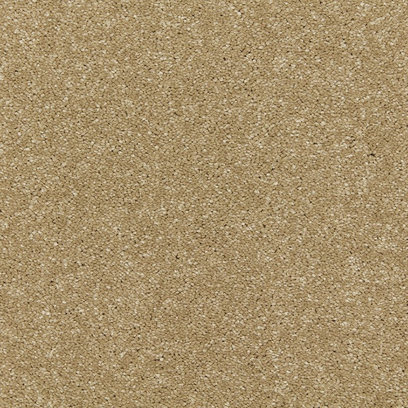 Cormar Riva Wattle