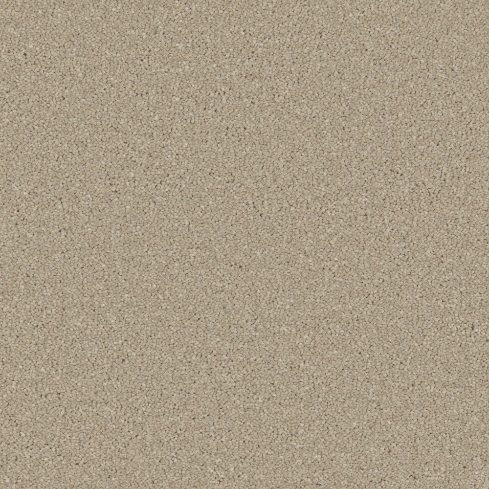 Cormar Zenith Dove Feather