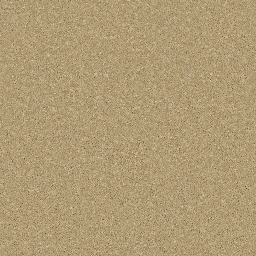 Cormar Zenith Sandy Bay