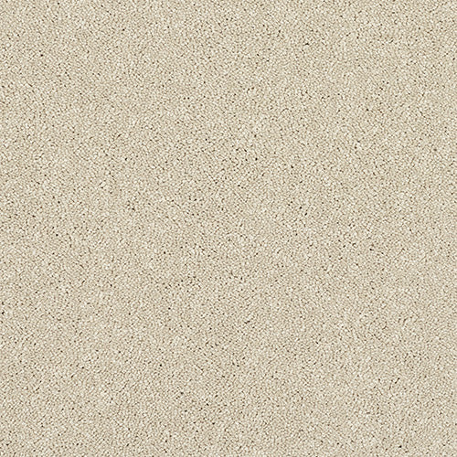Caress Carpet