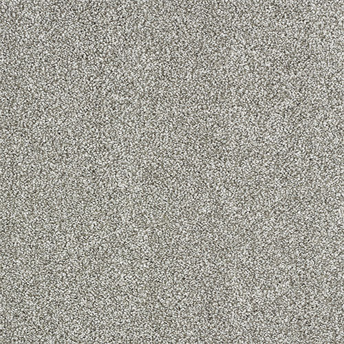 Indulgence Carpet