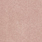 Indulgence Carpet