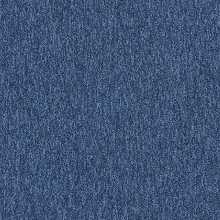 Interface Employ Loop Carpet Tile Baring