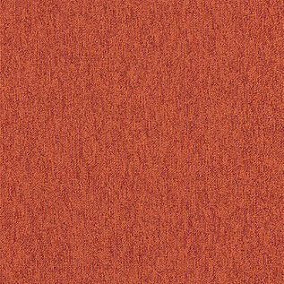 Interface Employ Loop Carpet Tile Clemantine