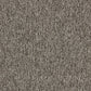 Interface Employ Loop Carpet Tile Praline