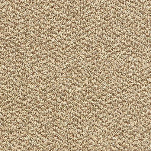Stainfree Tweed Carpet