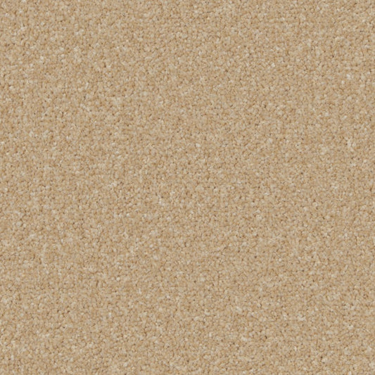 Kingston Easy Clean Carpet - Surefit CarpetsDoncaster