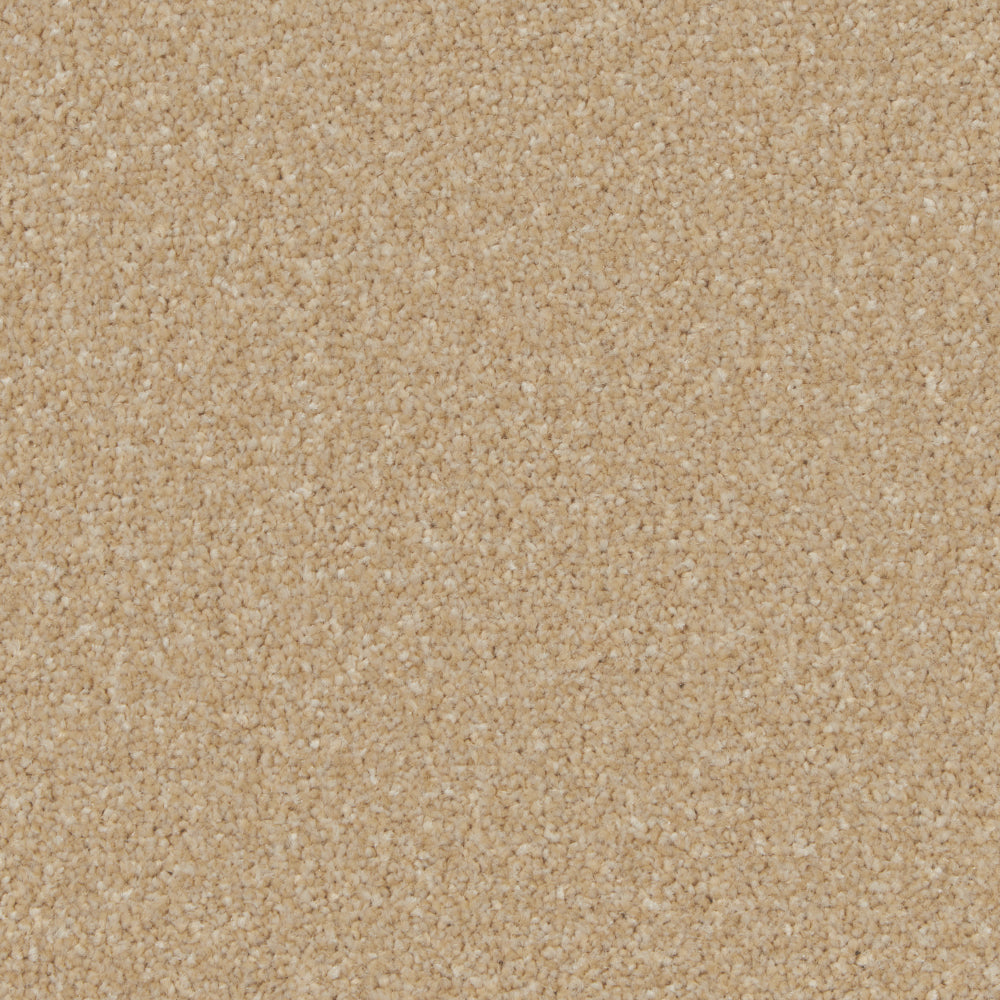 Cormar Carpets Kingston Hayseed