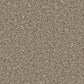 Cormar Carpets Kingston Kernel