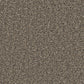 Cormar Carpets Kingston Molasses