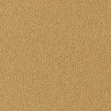 Brintons Bell Twist Luxor Gold