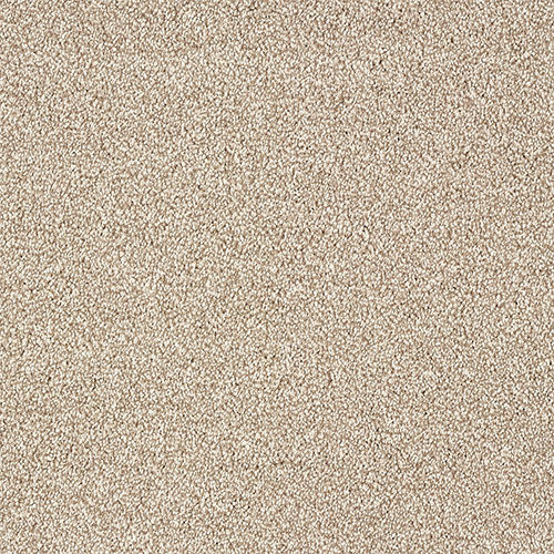 Indulgence Carpet
