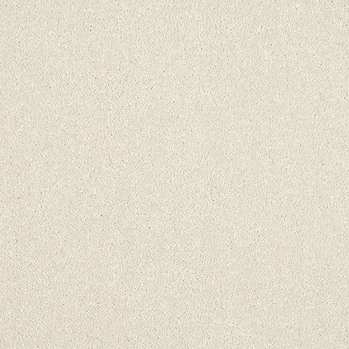 Maximus Carpet