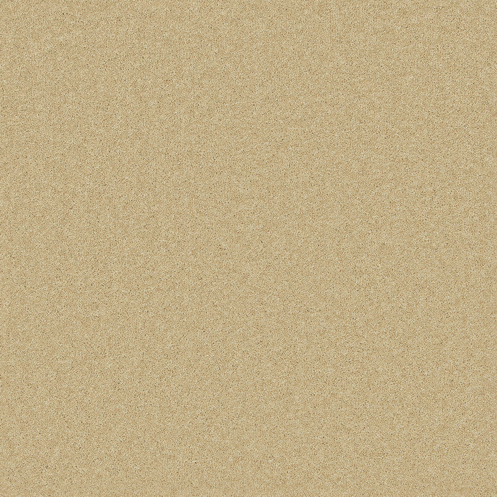 Cormar Carpets Pembroke Camel