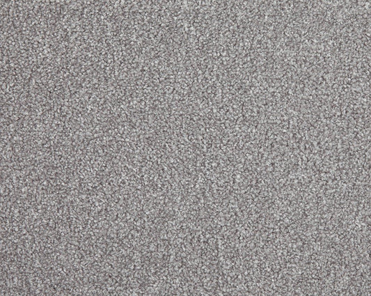 Primo Choice Easy Clean Carpet - Surefit CarpetsDoncaster