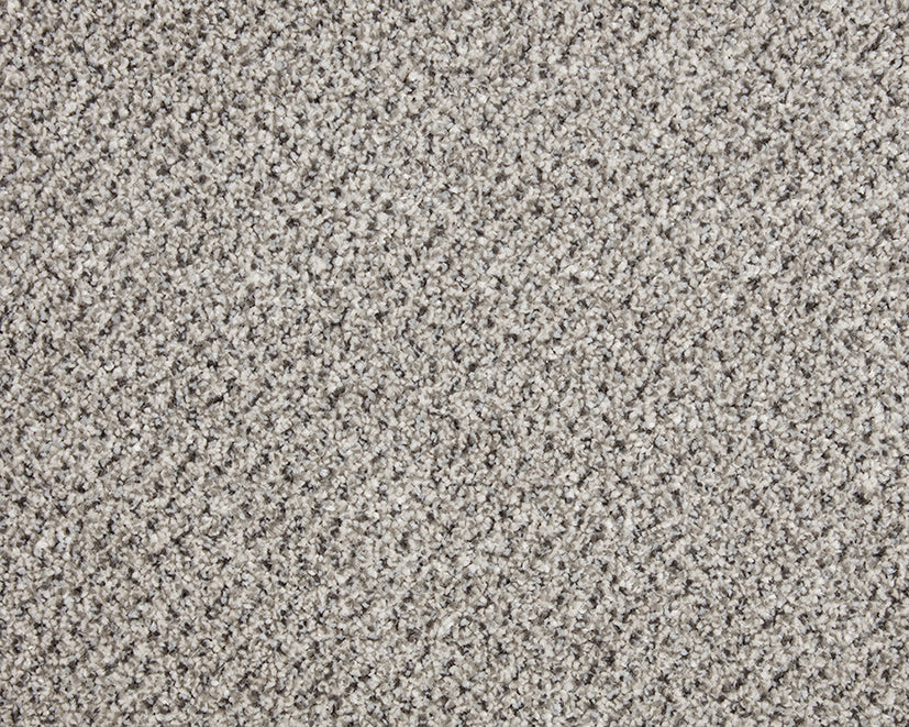Primo Tweed Easy Clean Carpet