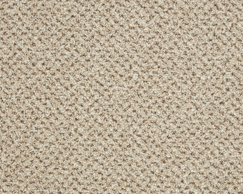 Primo Tweed Easy Clean Carpet
