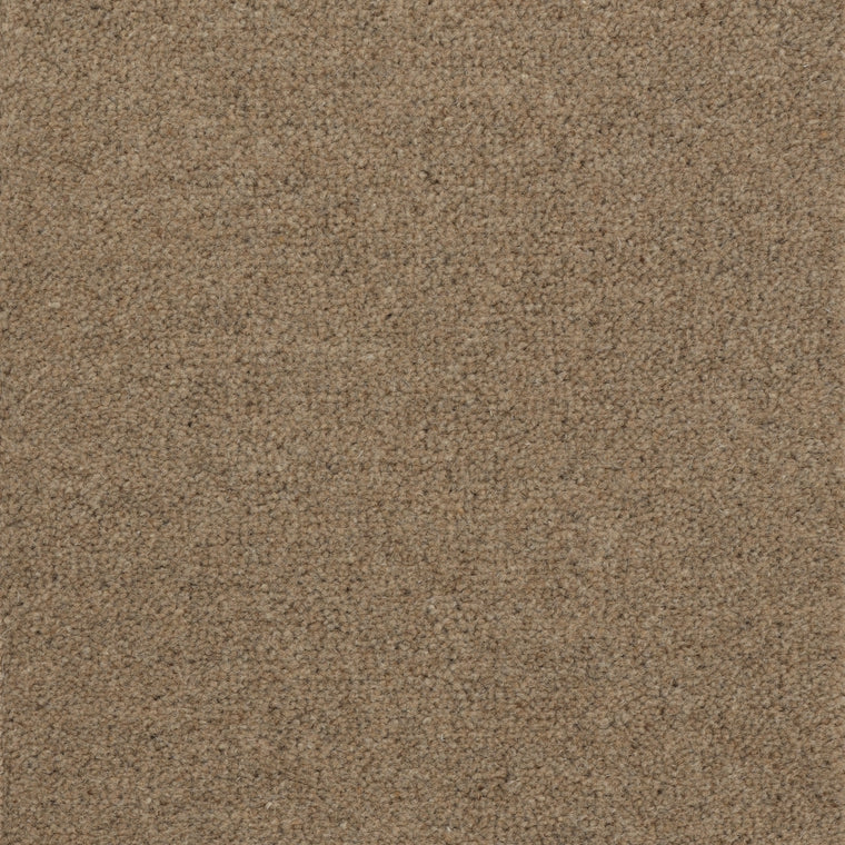 Brintons Purely Natural Chroma Brecon Bamboo 7/Q2029