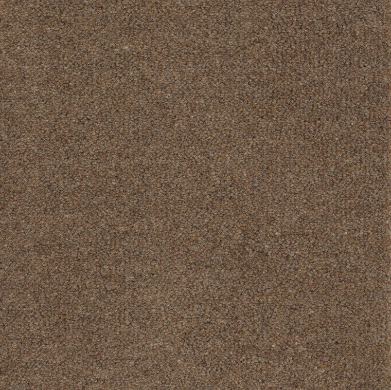 Brintons Purely Natural Chroma Wentworth Brown 8/Q2029