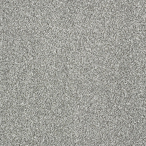 Indulgence Carpet