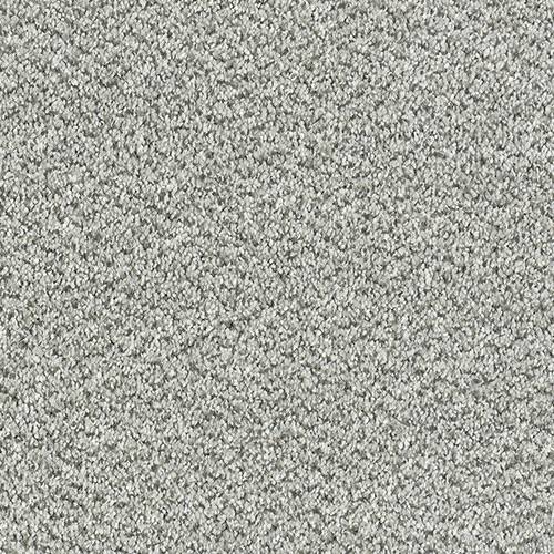 Stainfree Tweed Carpet