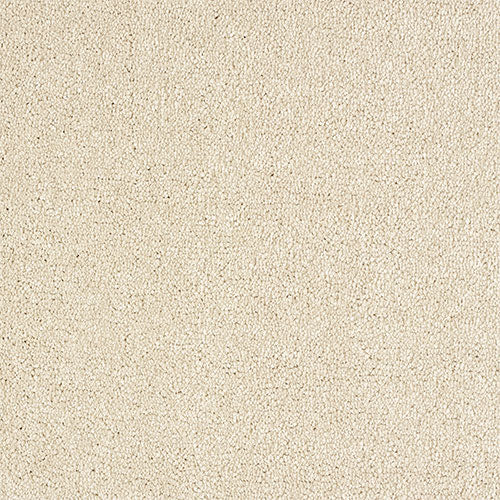 Indulgence Carpet