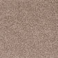 Surefit Bronze FHD Twist Carpet