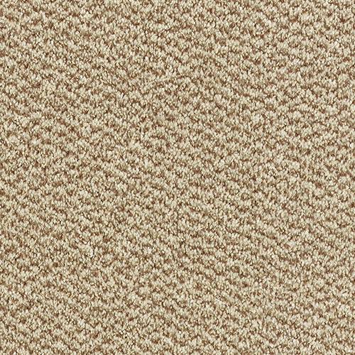 Stainfree Tweed Carpet