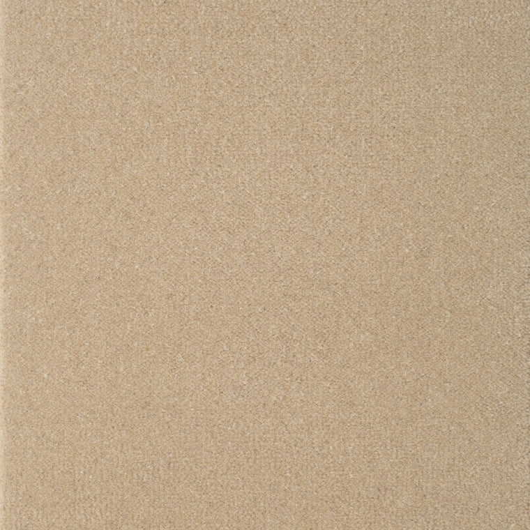 Brintons The Velvet Cordelia Beige VC822